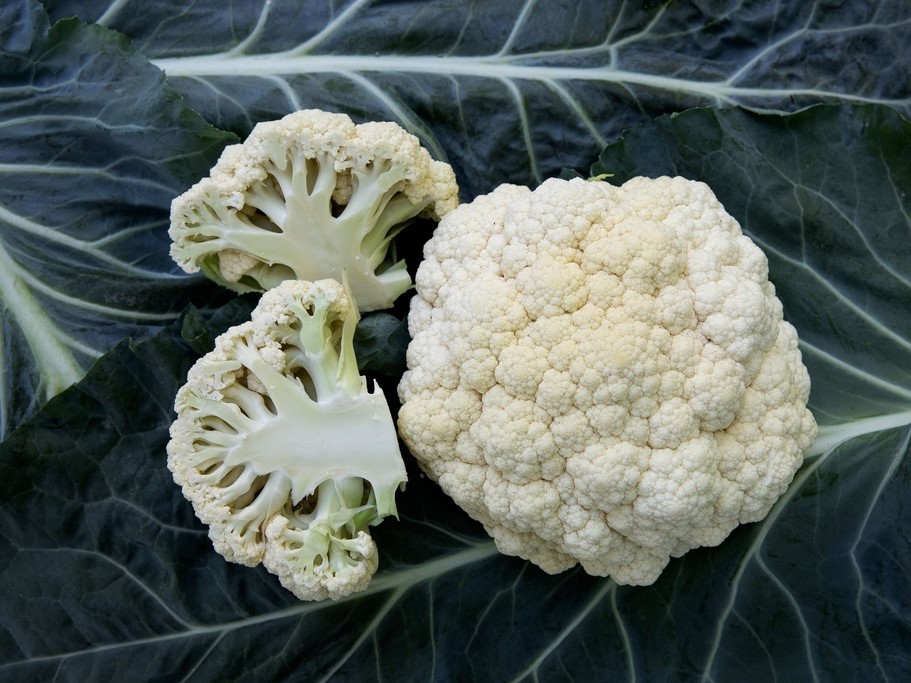 Tuti gli semi di ortaggi / Brassica / Cavolfiore