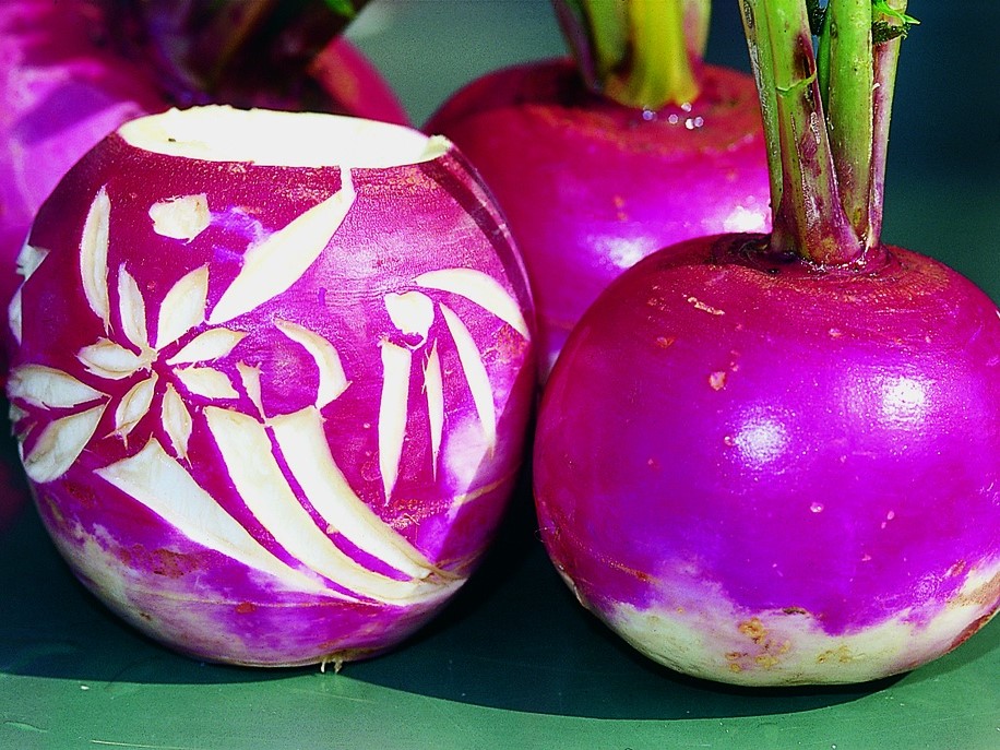 All vegetable seeds / Brassicas / Turnip, Kohlrabi