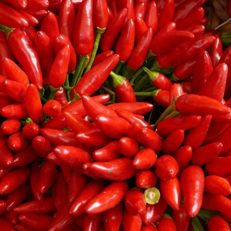 Alle Gemüsesamen / Paprika, Peperoni / Chili, Peperoncini